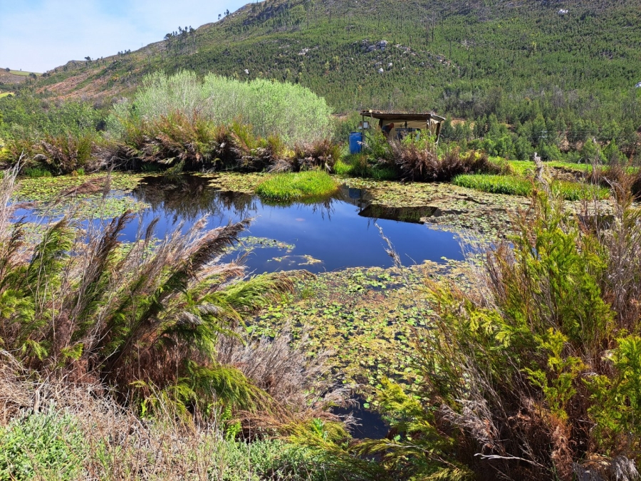 7 Bedroom Property for Sale in Riversdale Rural Western Cape